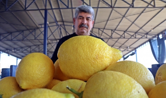 Hortum, sebze üretimini yüzde 10 oranında düşürdü