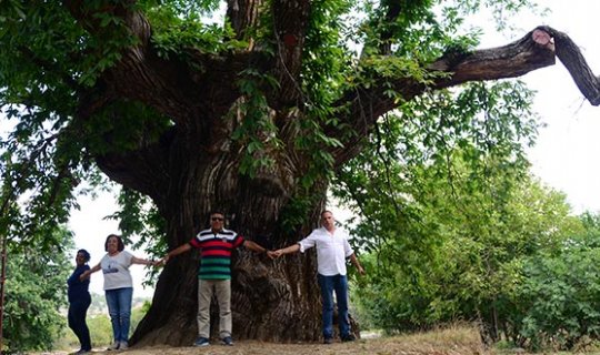 İbradı'da tarihin sessiz tanığı tam 1000 yıllık