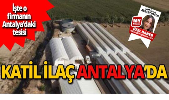 Kanserojen ürün peynir ekmek gibi satılıyor