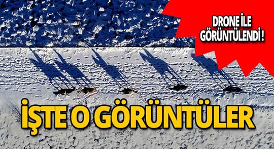 Karlar altında dörtnala özgürlük işte böyle görüntülendi!