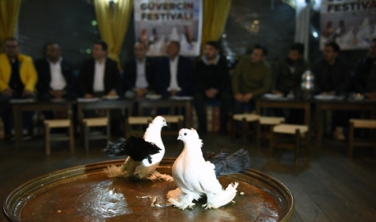 Kepez’e kuş pazarı