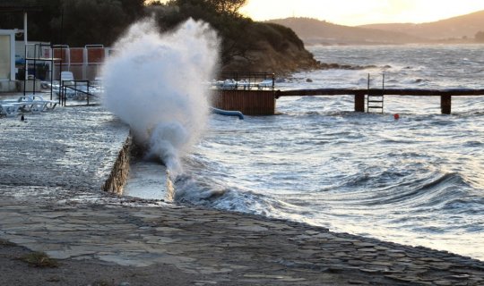'Kestane Karası' rüzgarı hayatı olumsuz yönde etkiliyor