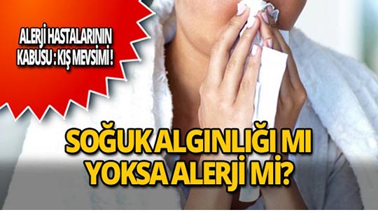 Kış alerjilerine dikkat! İşte alerji çeşitleri, belirtileri ve alınacak önlemler!