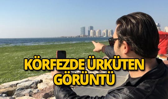 Körfezin son halini görenler şaştı kaldı