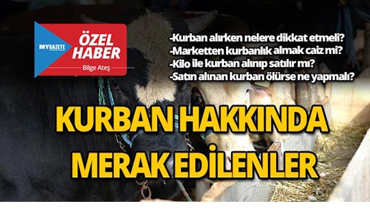 Kurban alırken nelere dikkat etmeli? Marketten kurban almak caiz mi?