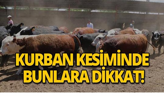 Kurban kesecekler dikkat! Bu haber sizi ilgilendiriyor