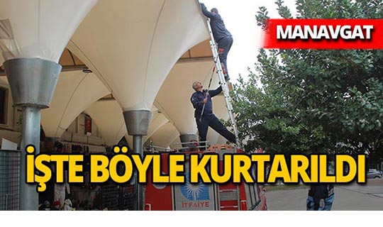 Manavgat'ta sesi duyunca hemen yardıma koştular!