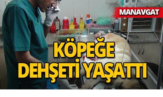 Manavgat'ta sokak ortasında ateş açtı!