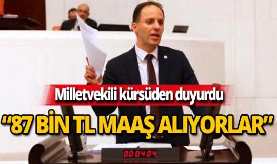 Milletvekili, Sayıştay raporları ile açıkladı: "87 bin lira maaşları var"