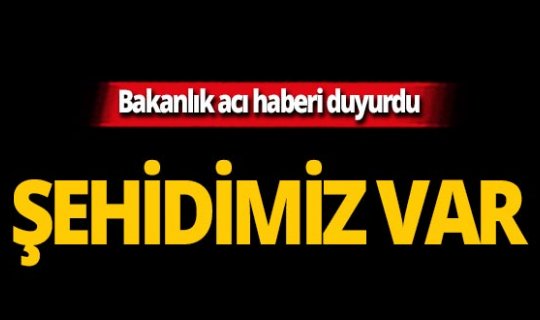 MSB acı haberi duyurdu: 1 asker şehit