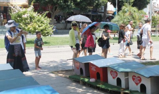 Muratpaşa Kedi Parkı'na turistlerden yoğun ilgi