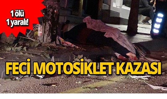 Önce ağaca sonra direğe çarptı: 1 ölü 1 yaralı!