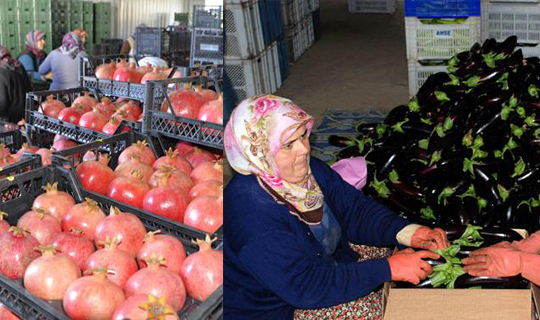 Rusya'dan 5 ürüne ithalat izni verildi