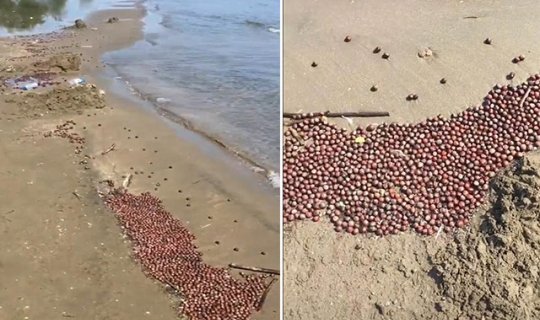 Sel felaketinden geriye kalanlar görenleri şaşırttı