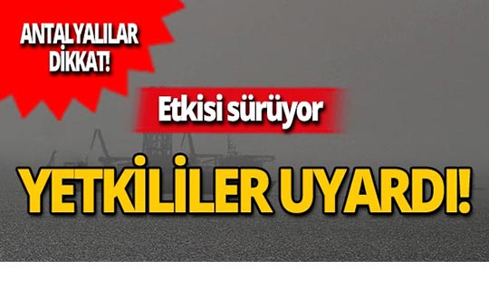 Suriye üzerinden Antalya'ya ulaştı, yetkililer uyardı!
