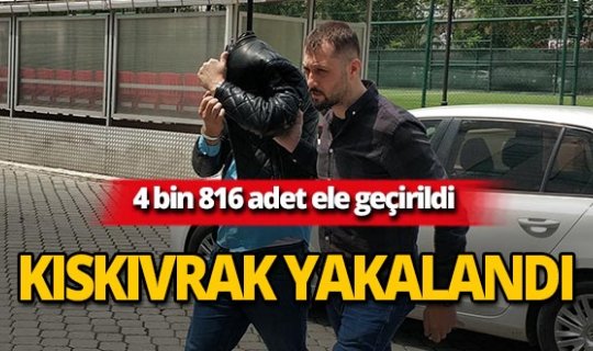 Tam 4 bin 816 adet ele geçirildi!