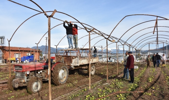 TARSİM sigortası olan üreticiler seralarını yeniden kurma çalışmalarına başladı
