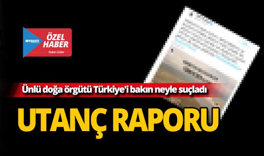 Doğa ve çevre örgütü WWF-Türkiye'den çarpıcı iddia