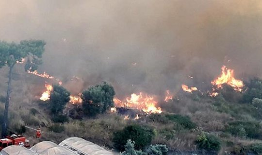 Vali Karaloğlu'ndan Kumluca'daki yangın felaketiyle ilgili önemli açıklama!