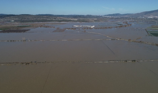 Yağmur ıspanağı vurdu, onlarca dönüm tarım arazisi sular altında