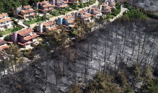 Yangında küle dönen bölgenin görüntüsü yürek yaktı