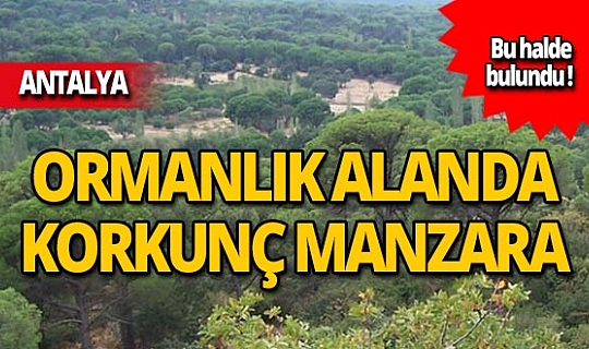 Yüksek sesle müzik sesi gelen araçta korkunç manzara!