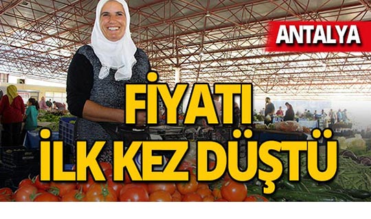Zam şampiyonuydu, 3 TL'nin altına düştü!