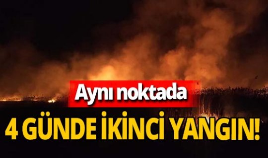 Afyonkarahisar'da aynı noktada 4 günde ikinci yangın! İnceleme başlatıldı