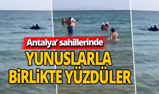 Antalya haber: Sahile kadar gelen yunuslar turistlerle birlikte yüzdü