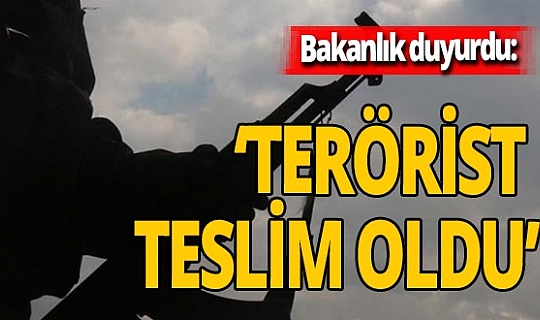 Bakanlık duyurdu: 'İkna edilen 1 terörist daha teslim oldu'