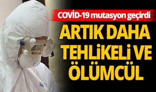 Bilim insanlarından korkutan koronavirüs araştırması