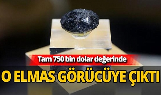 Çin'de 750 bin dolarlık 88 karat kara elmas görücüye çıktı