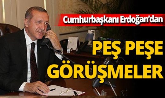 Cumhurbaşkanı Recep Tayyip Erdoğan Haiti Cumhurbaşkanı Jovenel Moise ile görüştü