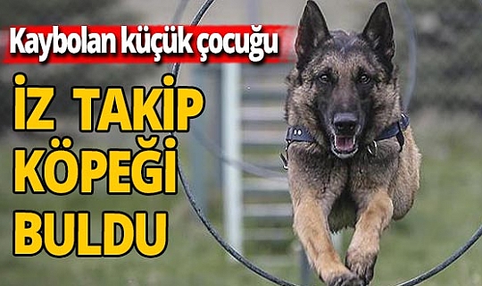 Elazığ'da kaybolan 13 yaşındaki çocuğu eğitimli köpek buldu