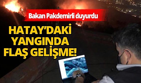 Hatay'daki yangından flaş gelişme! Kontrol altına alındı