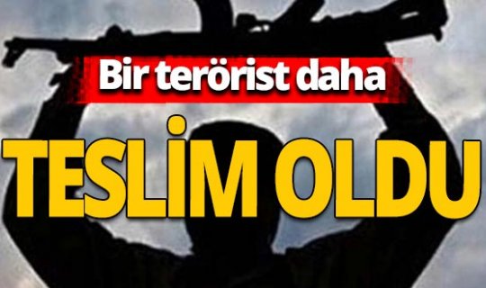 İçişleri Bakanlığı: 1 terörist ikna yoluyla teslim oldu