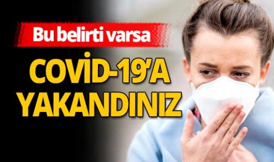 İngiliz bilim insanları yeni bir araştırma yaptı