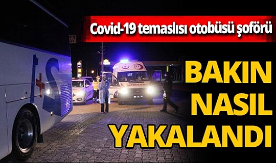 Koronavirüs temaslısı otobüsü şoförü direksiyon başında yakalandı