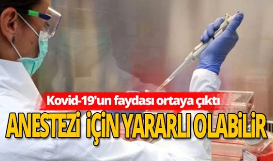 Koronavirüsün beklenmedik yararlı bir özelliği keşfedildi