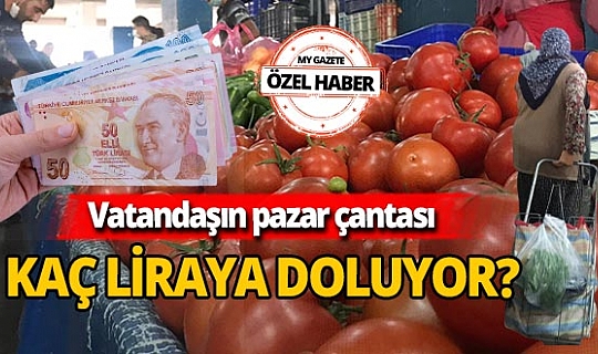 Pazarda fiyatlar ne kadar? Halde kaç lira? İşte İstanbul, Ankara ve Antalya halleri arasındaki farklar...