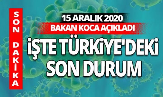 SON DAKİKA! 15 Kasım 2020 koronavirüs tablosu