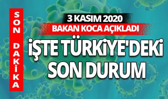 SON DAKİKA! 3 Kasım 2020 koronavirüs tablosu