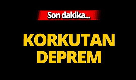 SON DAKİKA! Kuşadası körfezinde 4.2 büyüklüğünde deprem