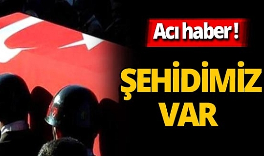 SON DAKİKA: MSB acı haberi verdi! Hakkari'de Abdurrahman Topuksuz şehit oldu!