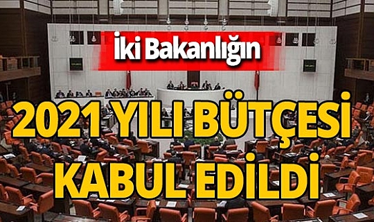 Son dakika! Ticaret Bakanlığı ile Sanayi ve Teknoloji Bakanlığı'nın 2021 yılı bütçeleri kabul edildi