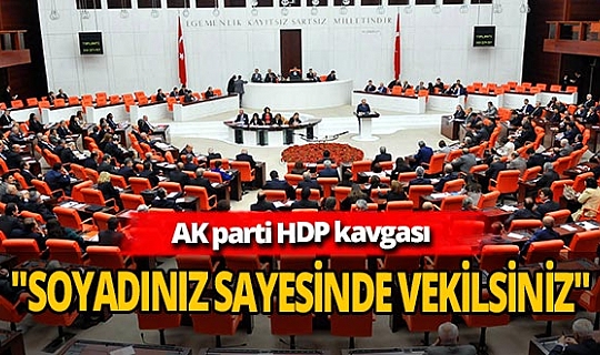 TBMM'de ‘kadına şiddet ve soyadı’ tartışması ortalığı karıştırdı!