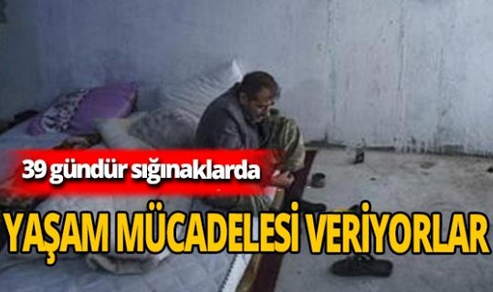 Terter'deki siviller 39 gündür sığınaklarda yaşıyor