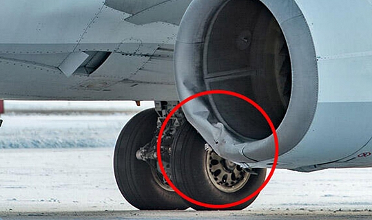 Uçak ayıya çarptı! Yavrusu kıl payı kurtardı..