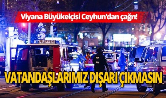 Viyana Büyükelçisi Ozan Ceyhun'dan Türklere çağrı!