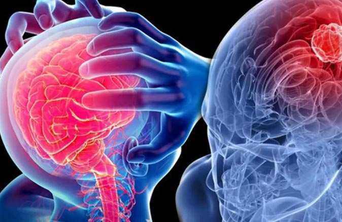 Omurilik soğanı nedir? Vücutta hangi işlevi görür?